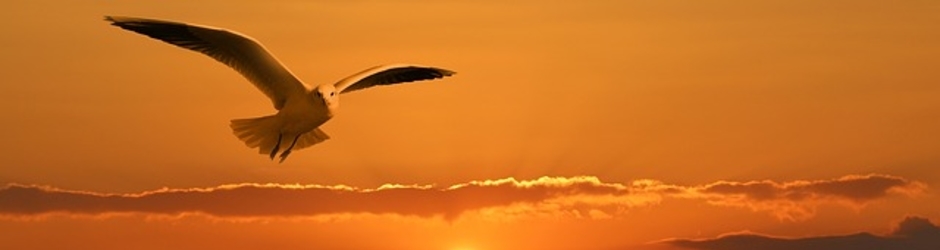 来看戏 Mini Cinema