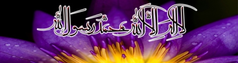 Dr Zakir Naik Best Scholar