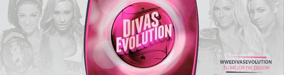 WWEDivasEvolution