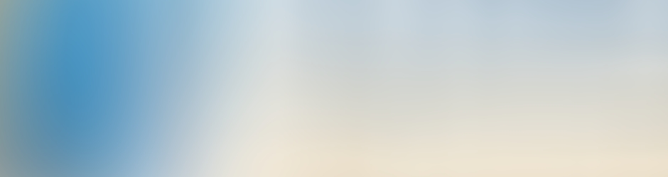 Web Promotion Partners