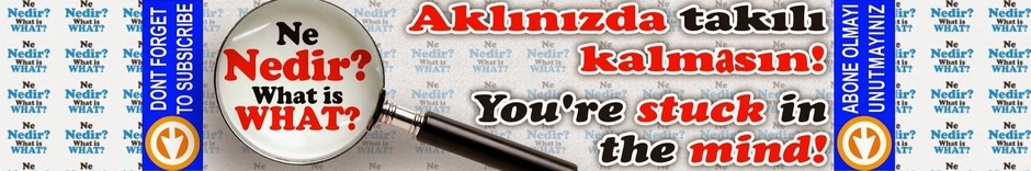 Ne Nedir?