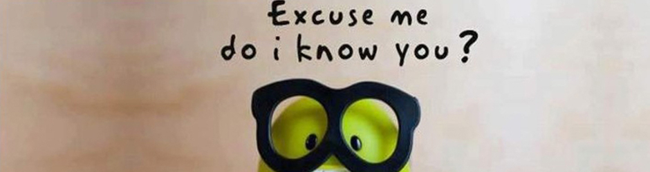 World Funny Videos & New Songs