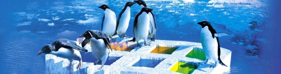 so very funny videos