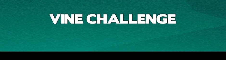 vinechallenge
