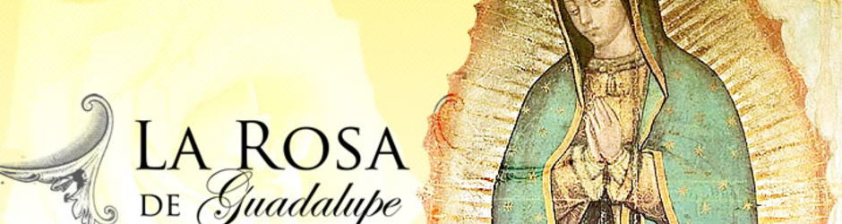 La Rosa de Guadalupe HD