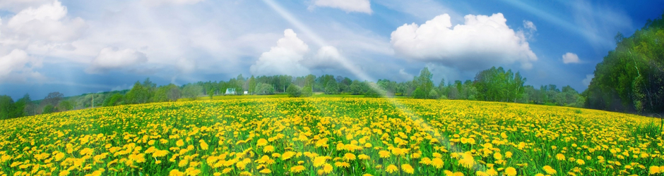 Trò chơi Truyền hình