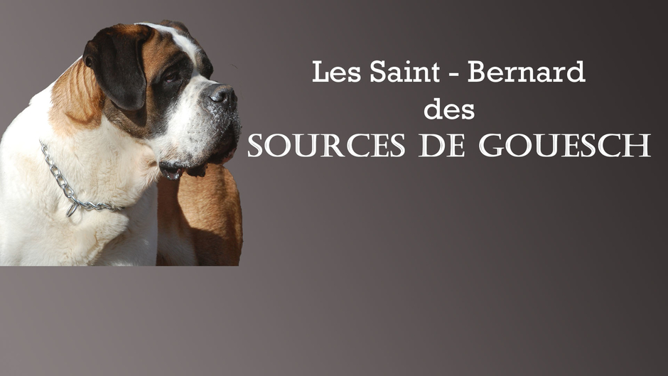Les Sources de Gouesch