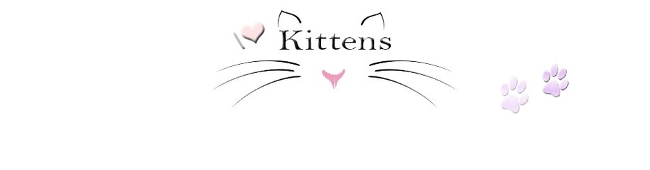 Kittens