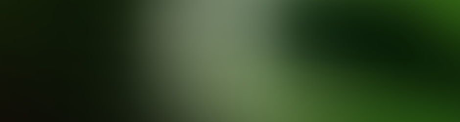 L'information Cachée