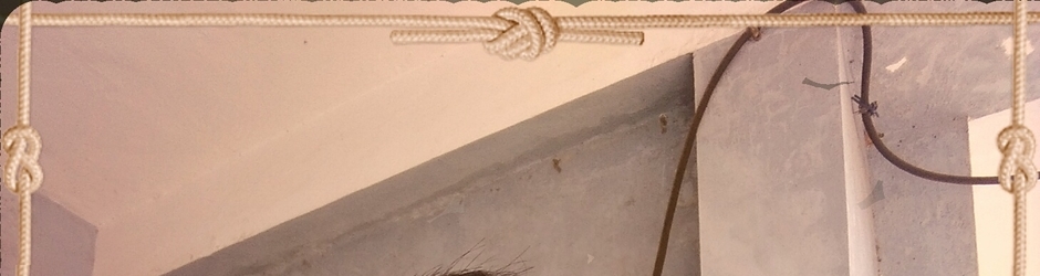 entertainment ka adda