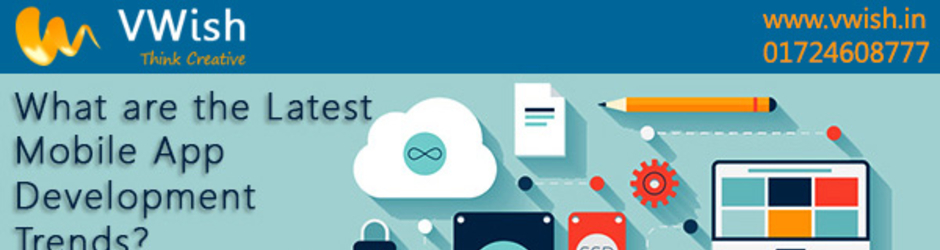 Web Designing & Development