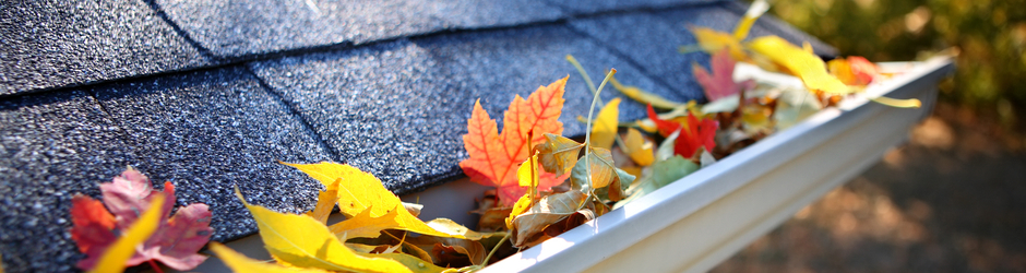 Gutter Cleaning Ltd