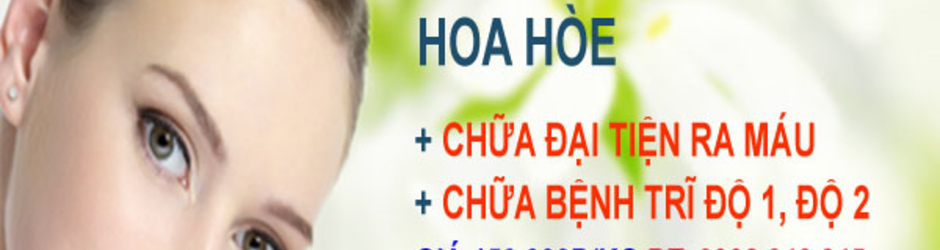 Hoa hòe - Thảo mộc HHT