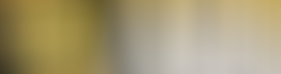 Delphine Editions Dargaud - XIII