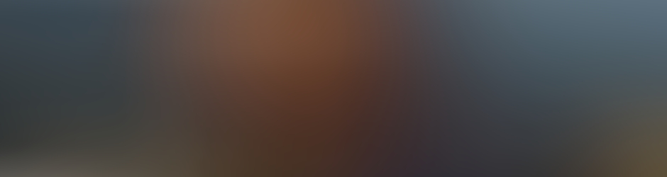 Stephane Youri Salomon