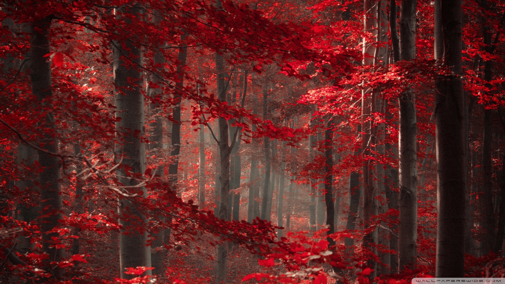 Новые Русские Сериалы Онлайн