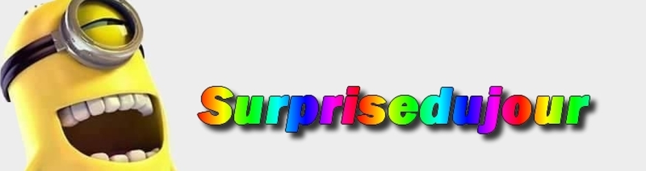 Suprisedejour