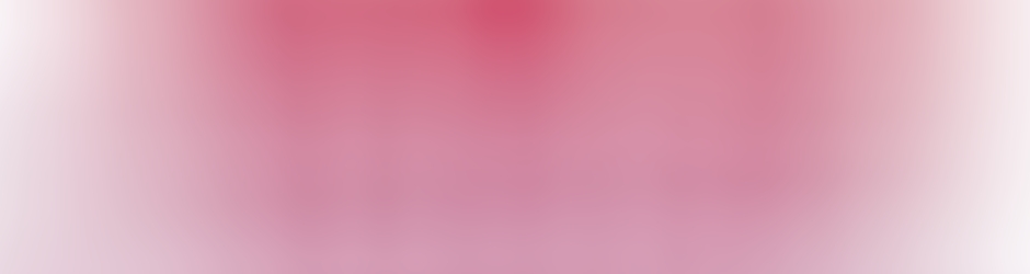 Les Jeunes Socialistes des Bouches-du-Rhône