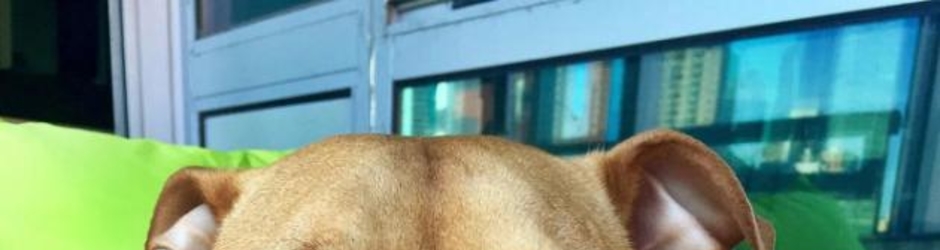 chad hatten Chad Hatten