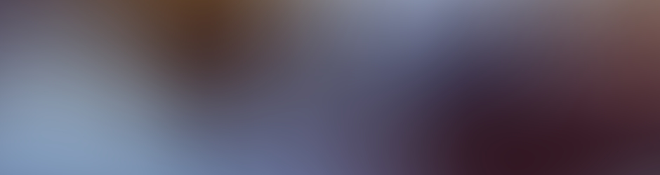 Steeve Le Sociologue