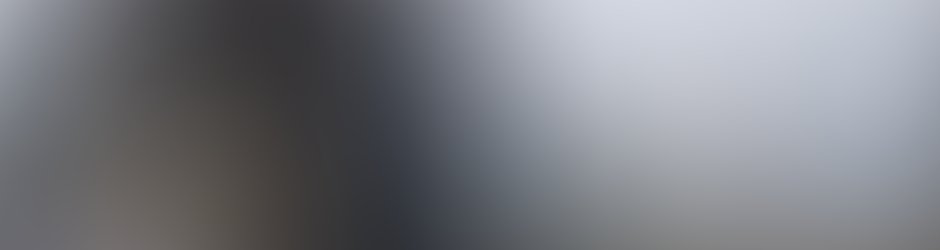 RandyMarshallStansel