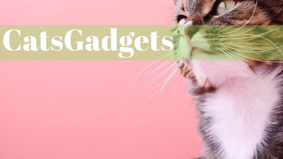 Catsgadgets