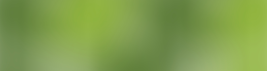 Adobe Experience Manager