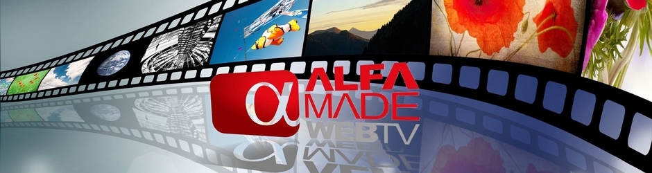 Alfa Made