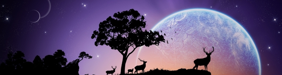 チャンネル トレンド