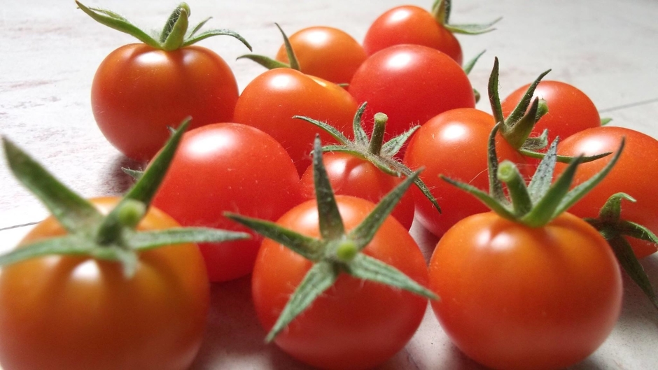 jardinage sur balcon et radio dx