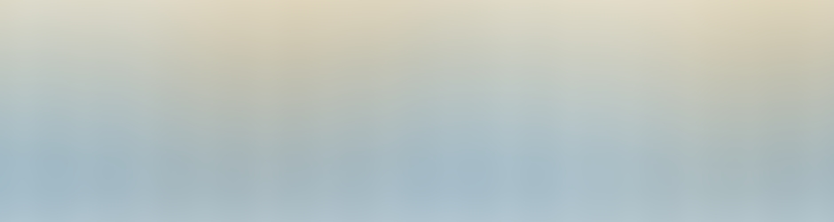 Language Connections Inc.