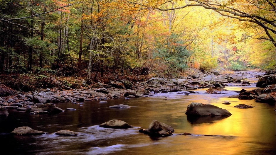 Digital Knowledge101