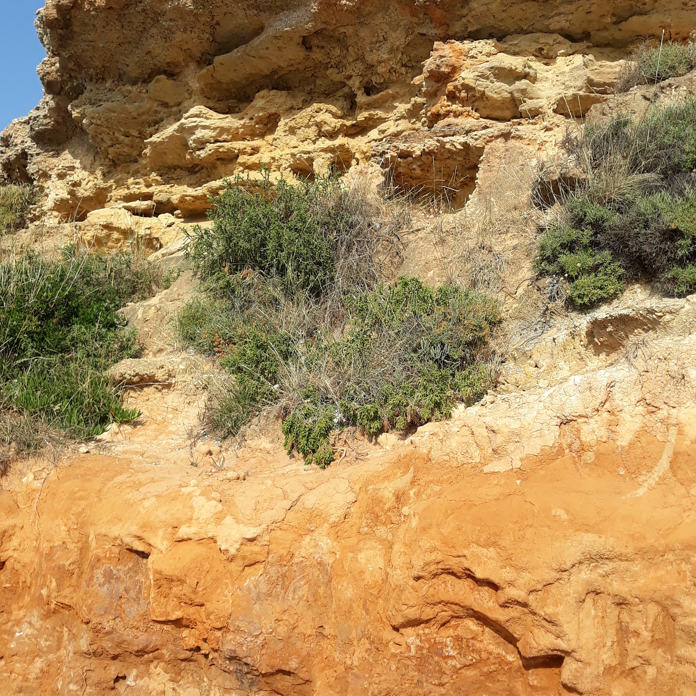 Σειρες στα Ελληνικα.