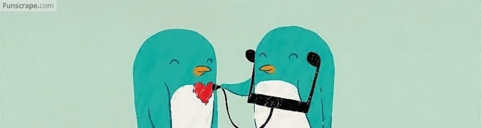 funny and everything