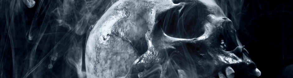 Trend Killer Syndicate