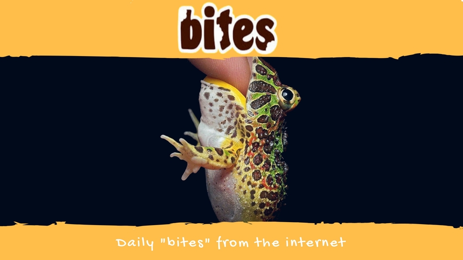 Bites