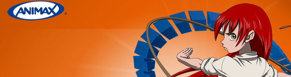 Animax TV
