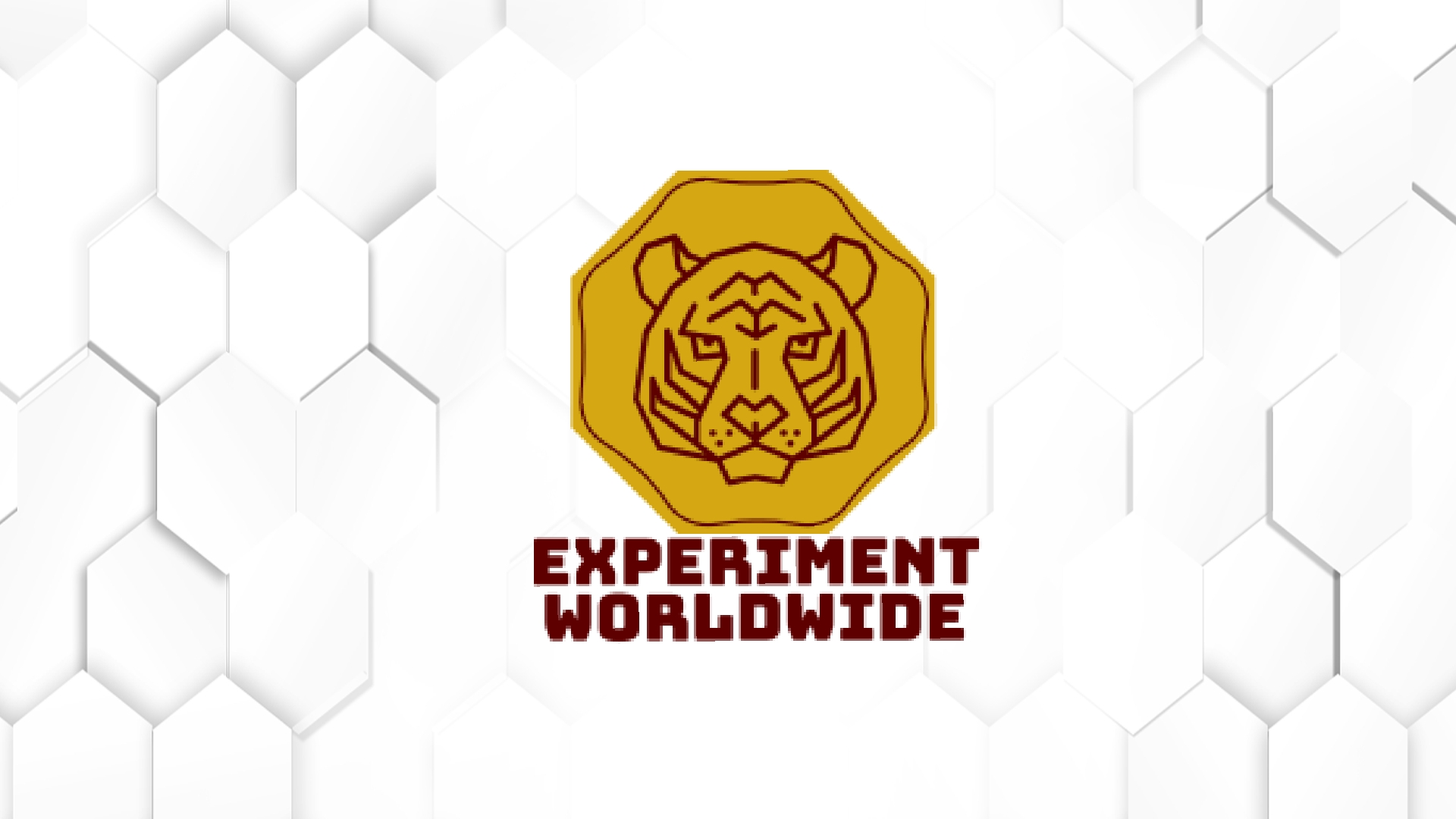 World Experiments