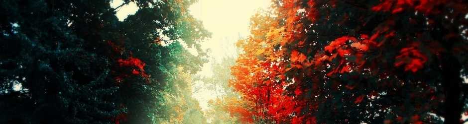 FASHION AND SKIN CARE and drama