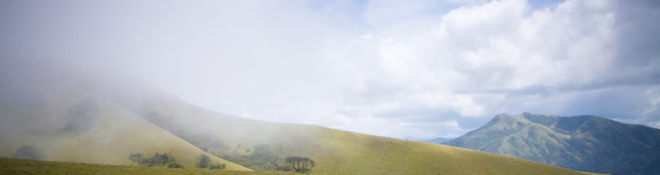 Wildberry Expeditions