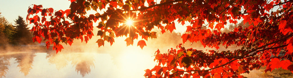 newest actual series