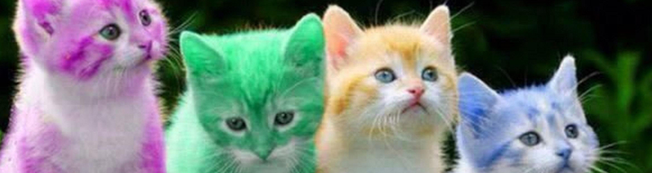 Compilation Divertenti