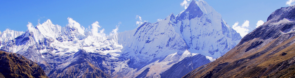 Apex the Asia Holidays