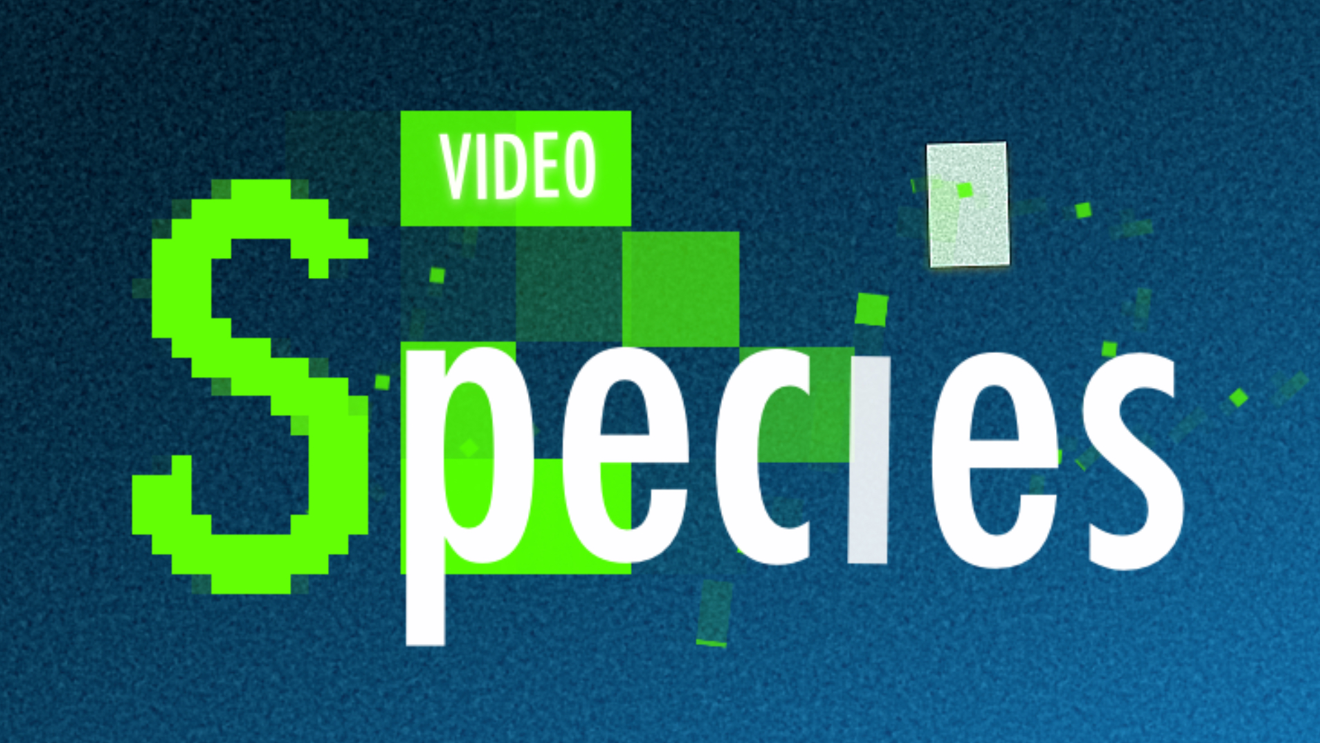 Video Species