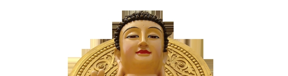 Nhặt Lá Bồ Đề