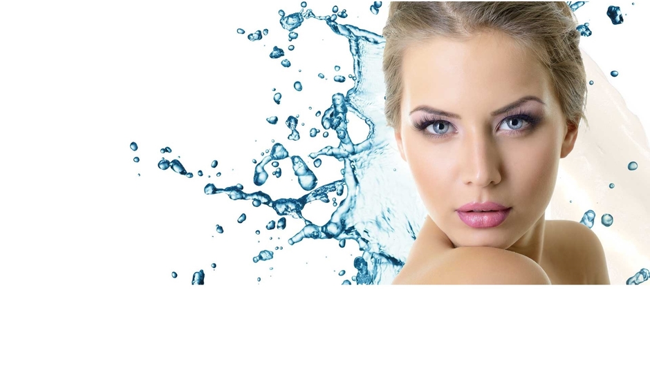 The Family Chronicles