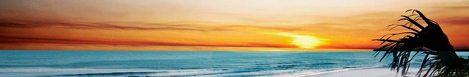 Net Fishing & Street Food