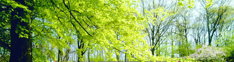 Sam Longbow | Alleyne777