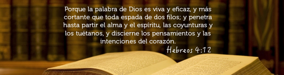 JESUS DIVINO SALVADOR