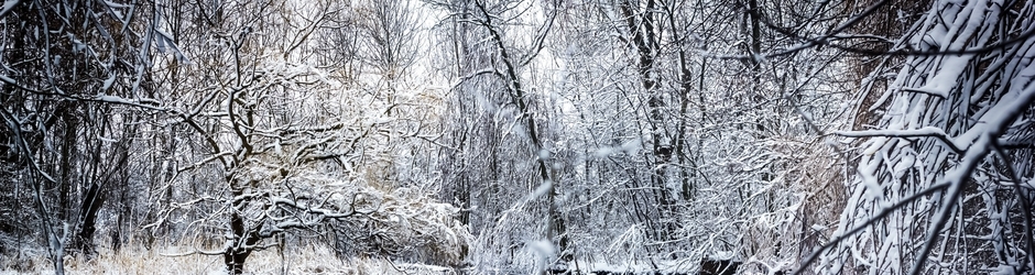 Highlights-Basketball Channels